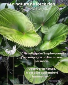 Lire la suite à propos de l’article La nature ne force rien.  Tout y est à sa place.